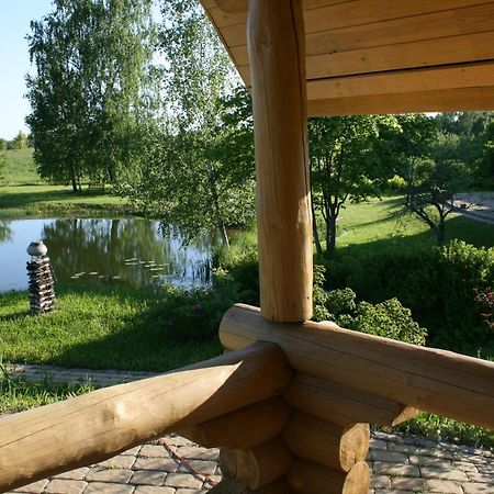 Dikisi Villa Daugavpils Kültér fotó