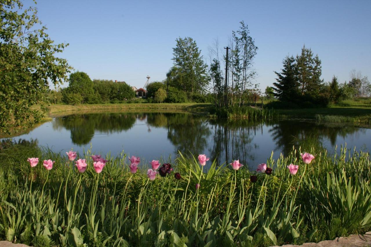 Dikisi Villa Daugavpils Kültér fotó
