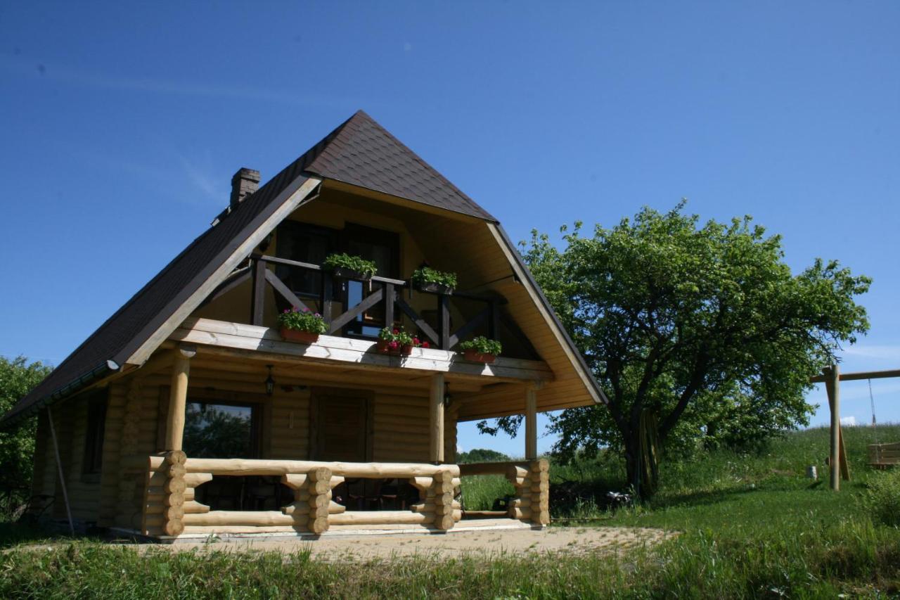 Dikisi Villa Daugavpils Kültér fotó