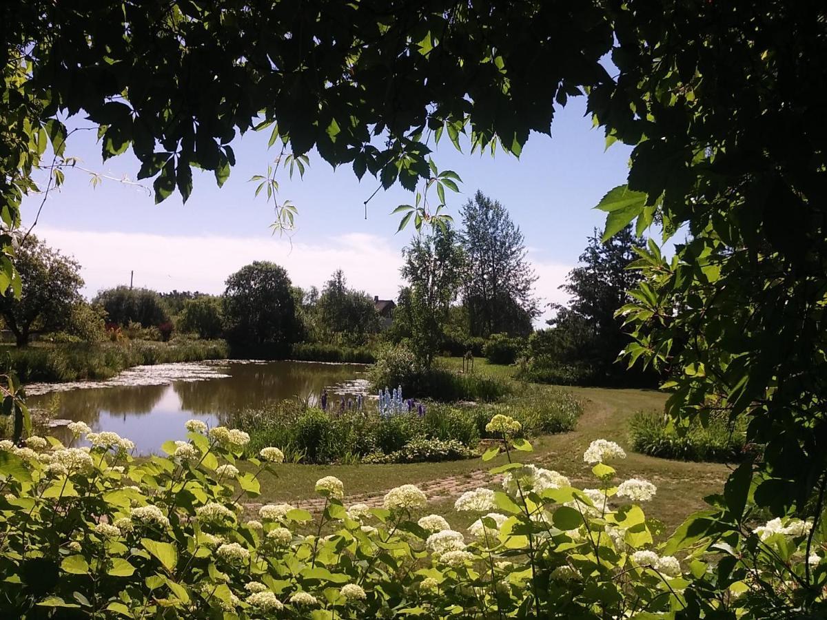 Dikisi Villa Daugavpils Kültér fotó