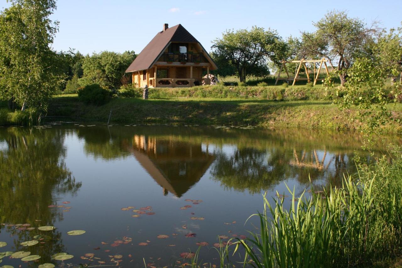 Dikisi Villa Daugavpils Kültér fotó