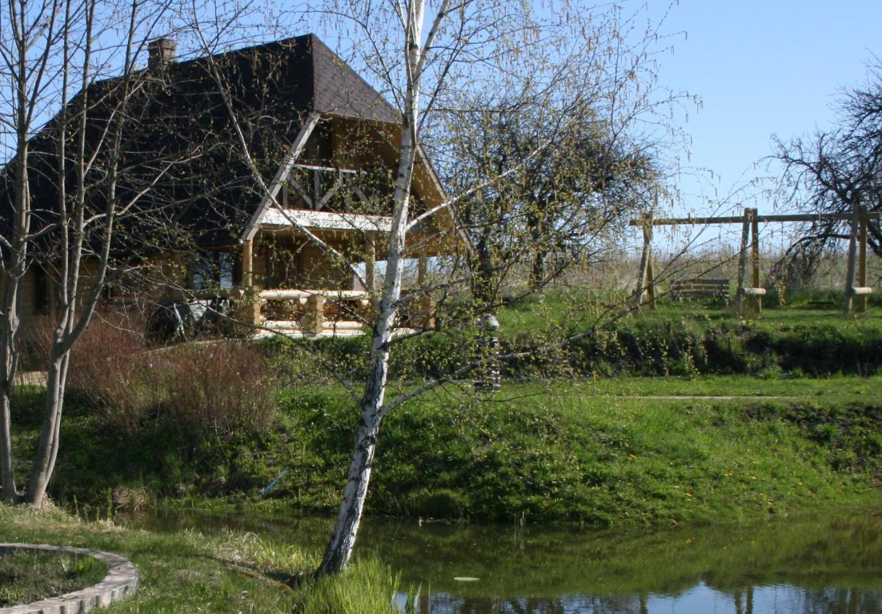 Dikisi Villa Daugavpils Kültér fotó