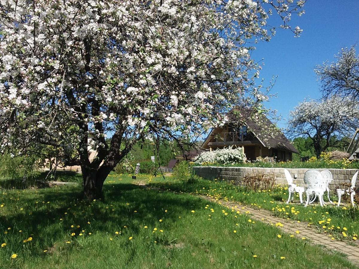 Dikisi Villa Daugavpils Kültér fotó