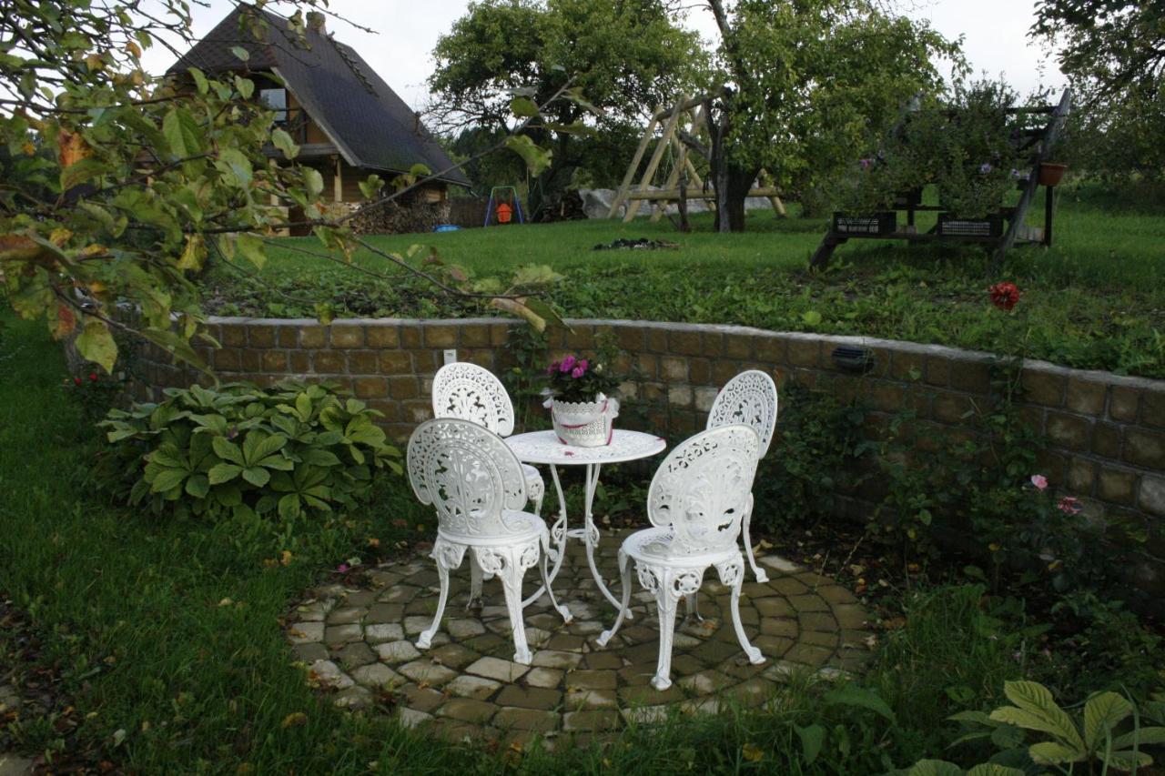 Dikisi Villa Daugavpils Kültér fotó