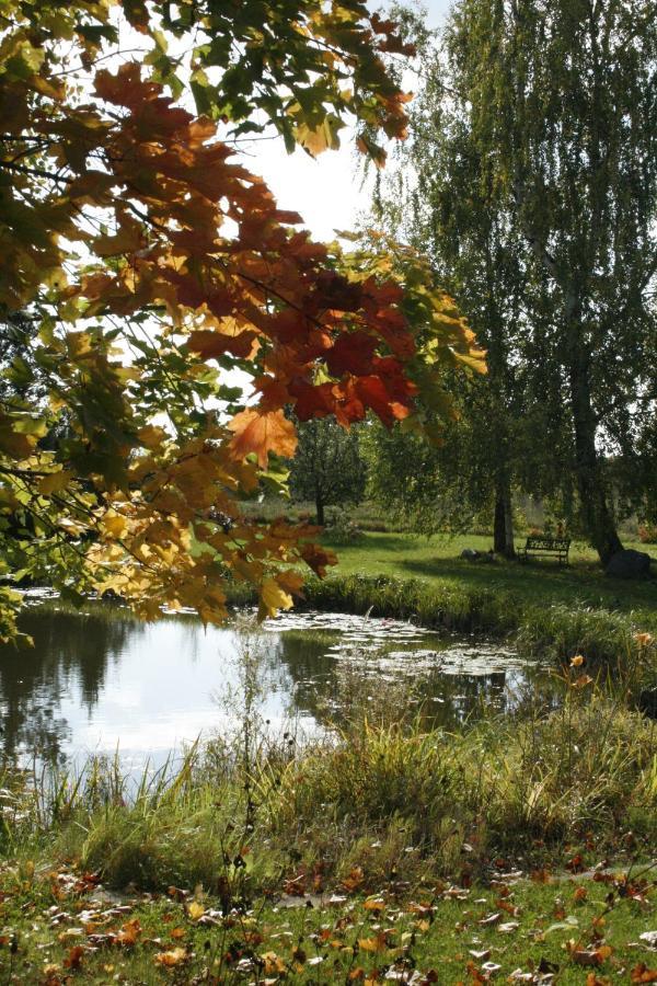Dikisi Villa Daugavpils Kültér fotó