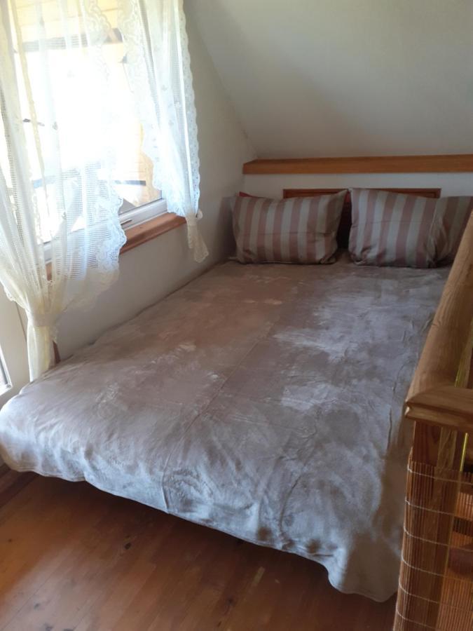 Dikisi Villa Daugavpils Kültér fotó
