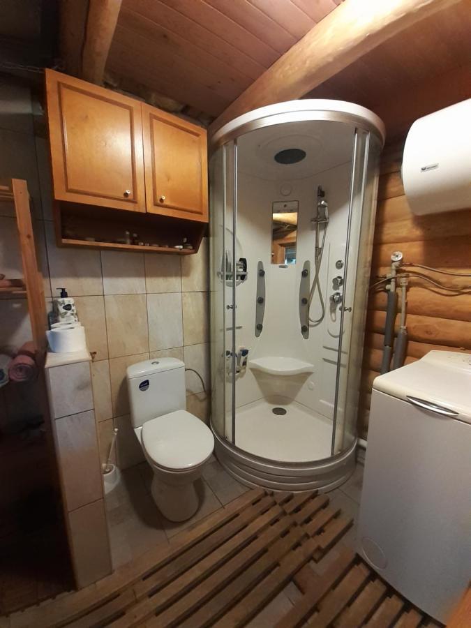 Dikisi Villa Daugavpils Kültér fotó